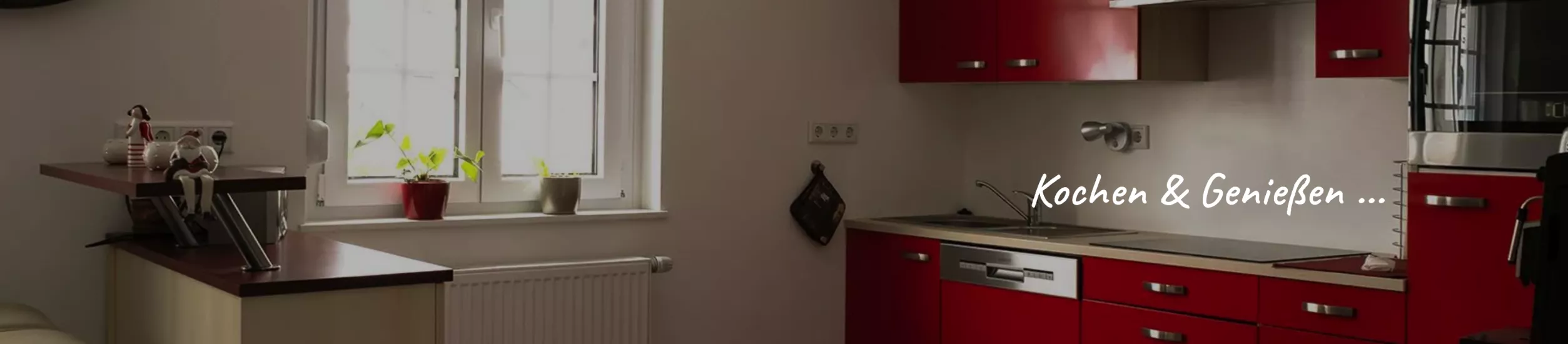 Ferienwohnung Argast in Hasel - Küche Ferienwohnung Argast in Hasel - Küche