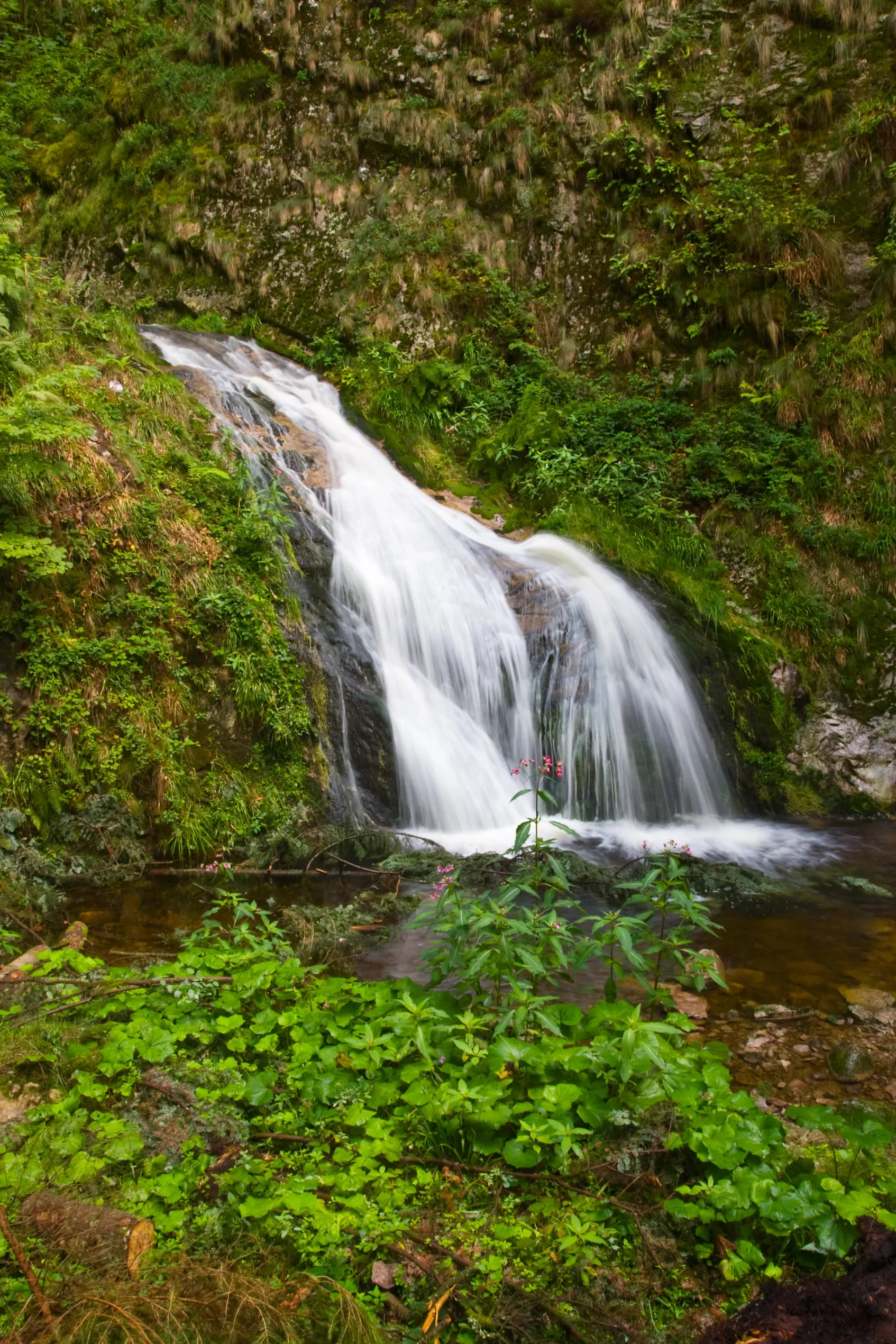 schwarzwald-tribergerwasserfalle-depositphotos-3853946-xl