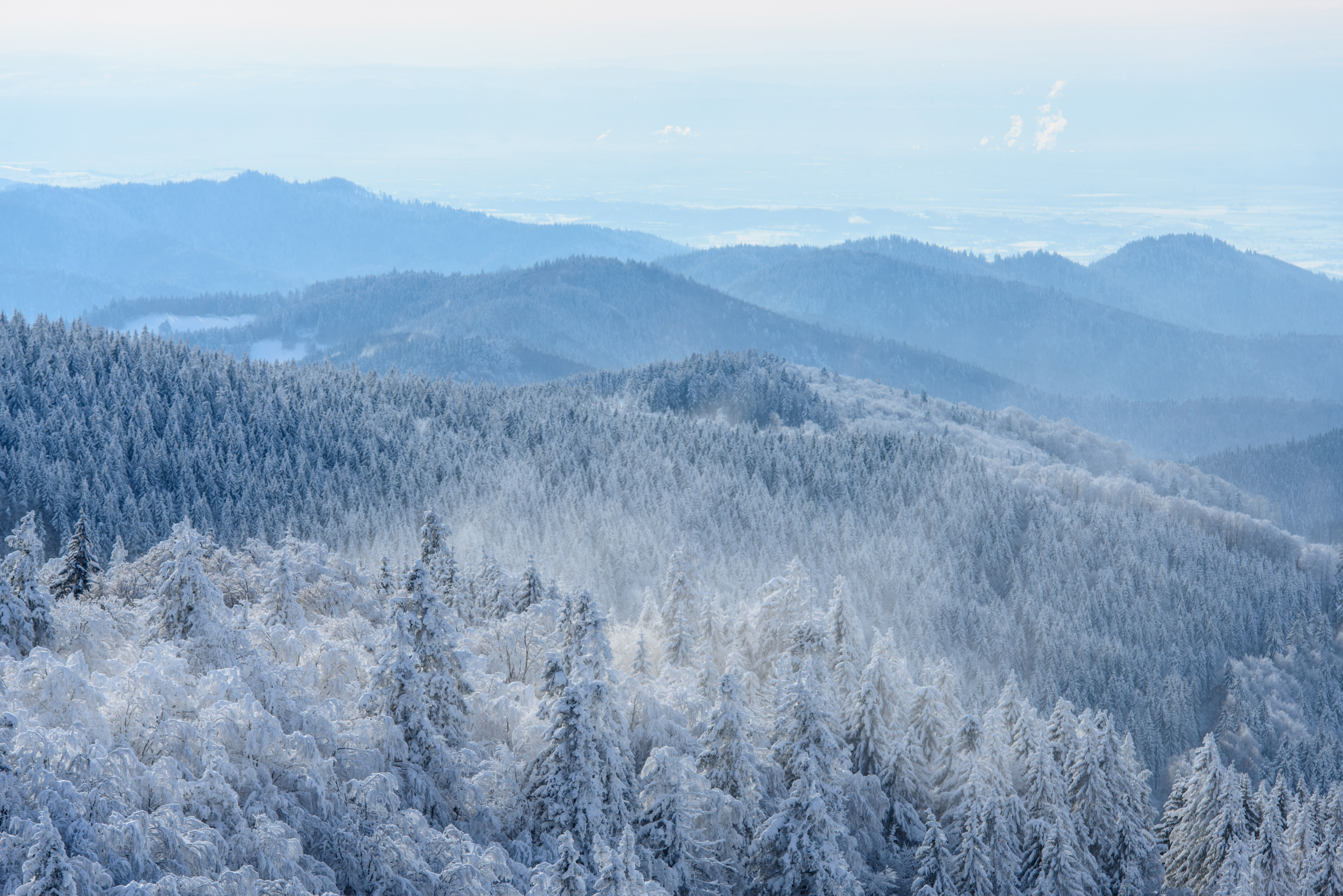 Schwarzwald-Winter Schwarzwald-Winter
